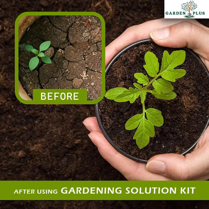 Buy Varieties of Flower Seeds (Pack of 100) And Get Plant Growth Supplement Free