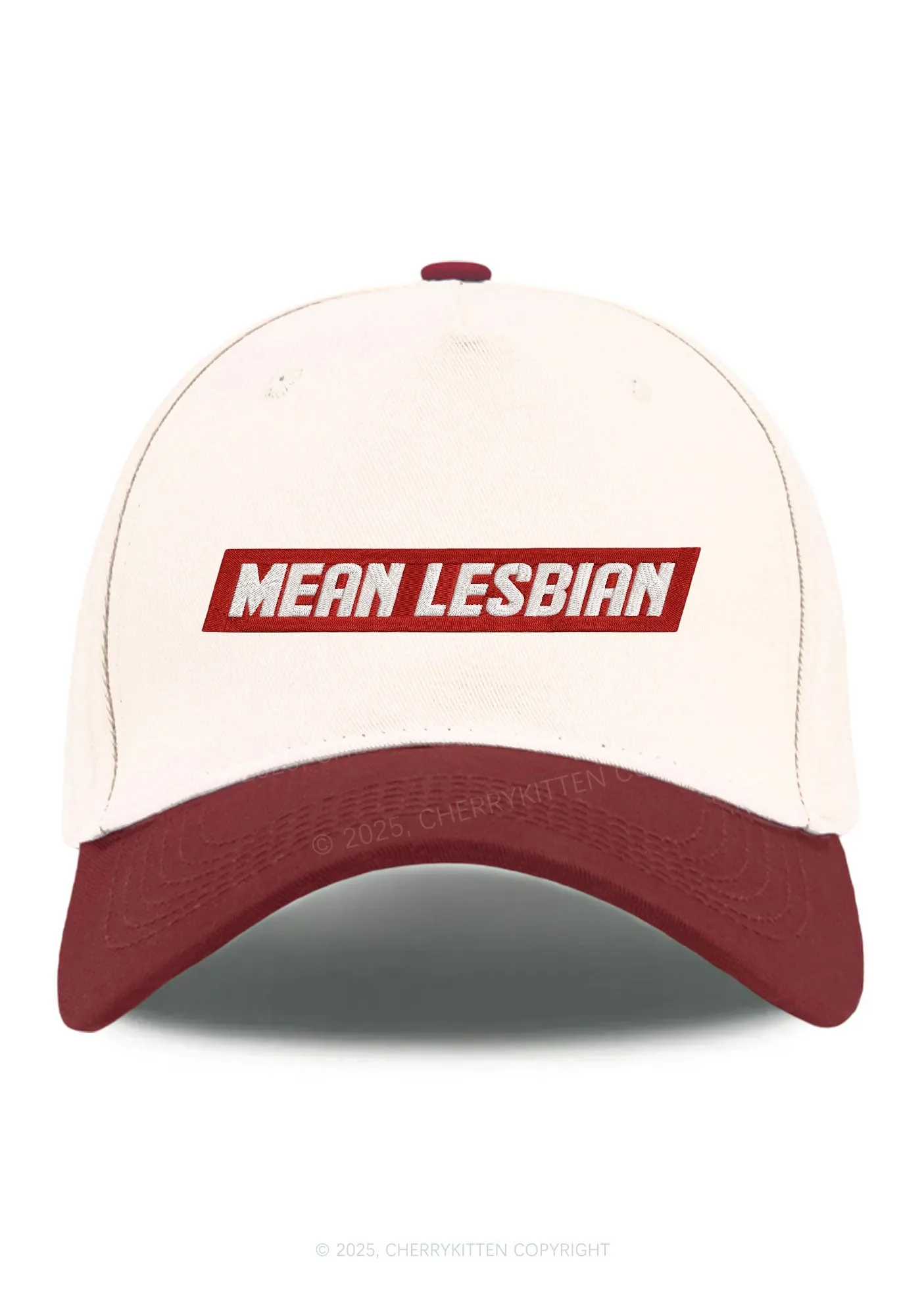 Embroidered Mean Lesbian Pride Y2K Color Block Baseball Cap Cherrykitten
