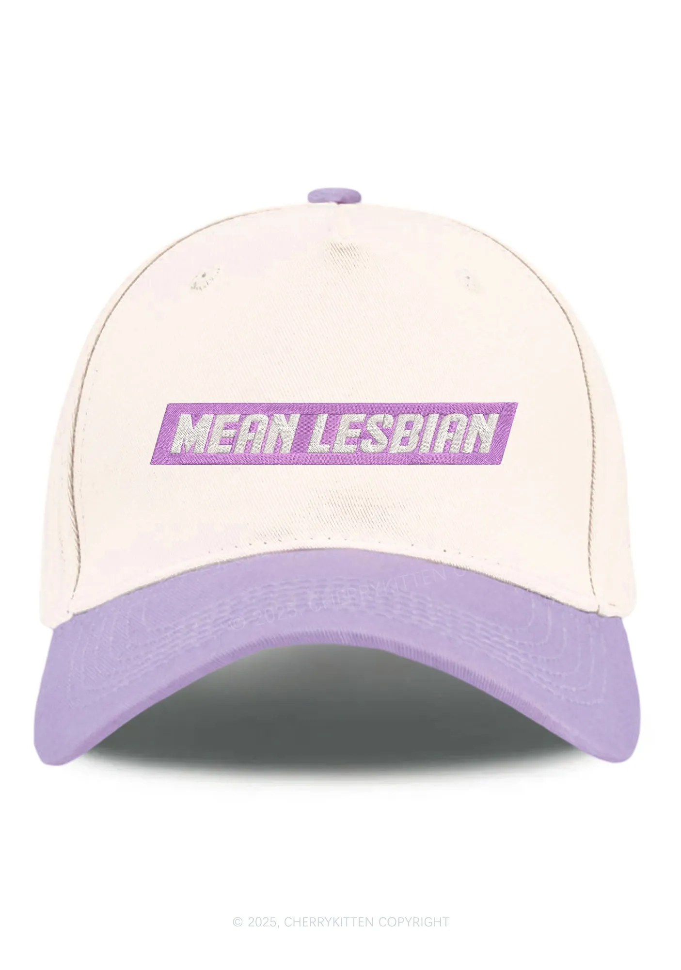 Embroidered Mean Lesbian Pride Y2K Color Block Baseball Cap Cherrykitten